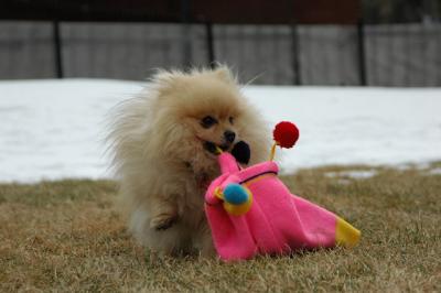 Feb12_05_039.JPG