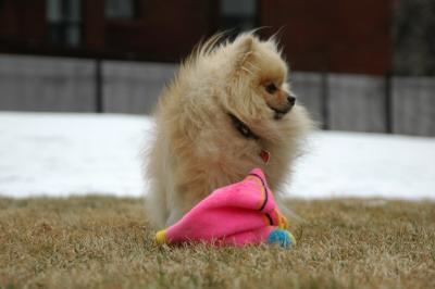 Feb12_05_042.JPG