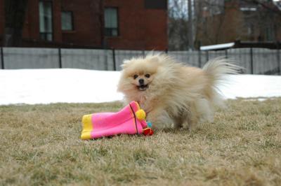 Feb12_05_044.JPG