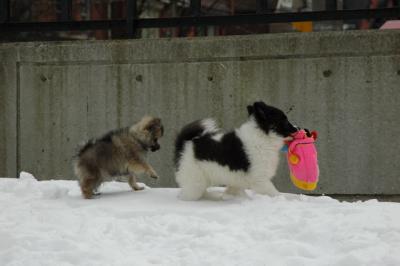 Feb12_05_045.JPG
