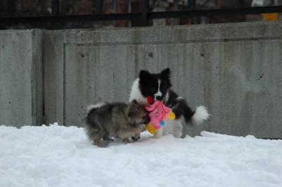 Feb12_05_046.JPG