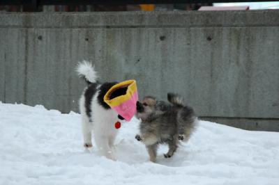Feb12_05_048.JPG