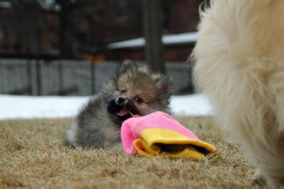 Feb12_05_049.JPG