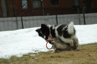 Feb12_05_056.JPG
