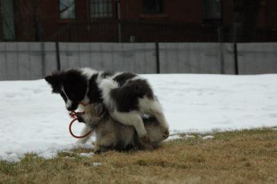 Feb12_05_057.JPG