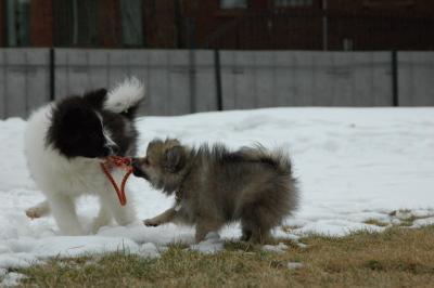 Feb12_05_058.JPG