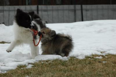 Feb12_05_059.JPG
