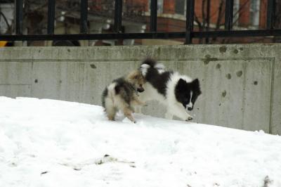 Feb12_05_061.JPG
