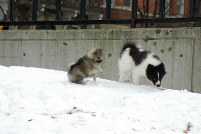 Feb12_05_062.JPG