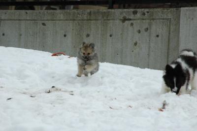 Feb12_05_063.JPG