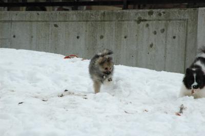 Feb12_05_064.JPG