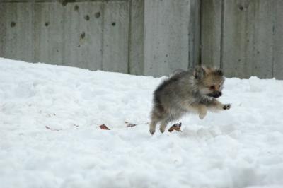 Feb12_05_065.JPG