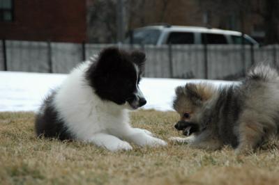 Feb12_05_083.JPG