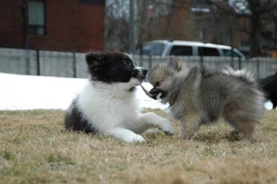 Feb12_05_086.JPG