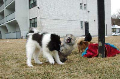 Feb12_05_098.JPG