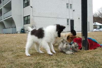 Feb12_05_099.JPG