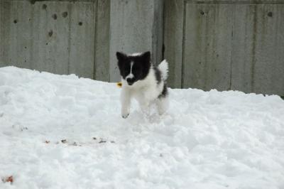 Feb12_05_117.jpg