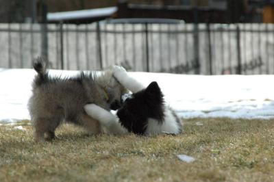 Feb12_05_125.JPG