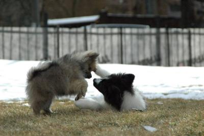 Feb12_05_126.JPG