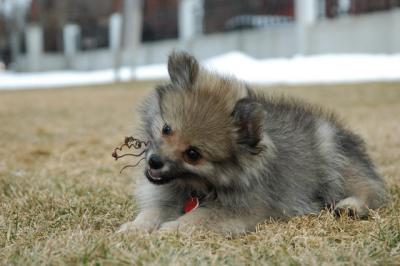 Feb12_05_129.JPG