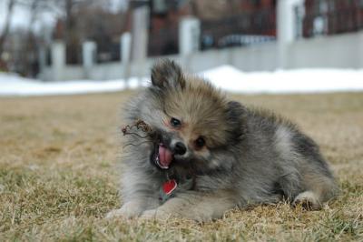 Feb12_05_130.JPG