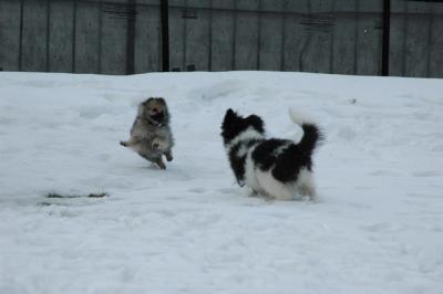 Feb12_05_139.JPG