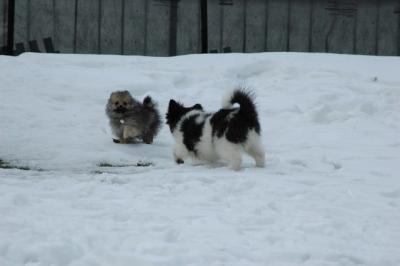 Feb12_05_140.JPG