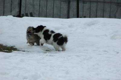 Feb12_05_141.JPG