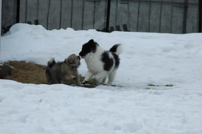 Feb12_05_142.JPG