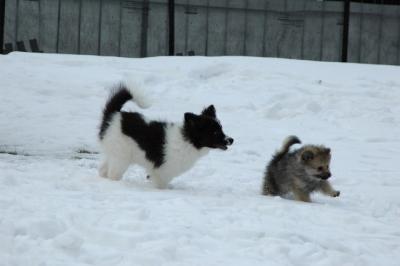 Feb12_05_144.JPG