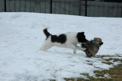 Feb12_05_145.JPG