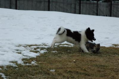 Feb12_05_146.JPG