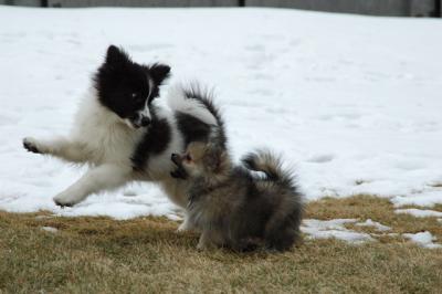 Feb12_05_150.JPG