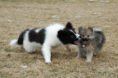 Feb12_05_159.JPG