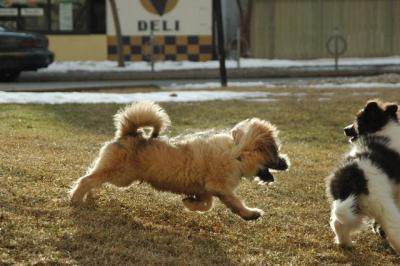 Feb12b_05_046.JPG