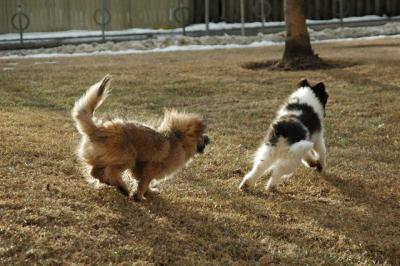 Feb12b_05_047.JPG