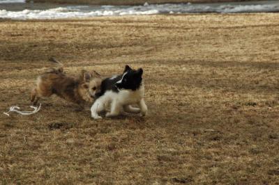 Feb12b_05_048.JPG