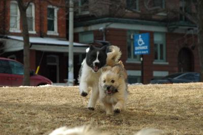 Feb12b_05_049.JPG