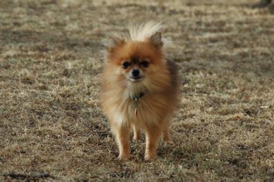 Feb12b_05_050.JPG