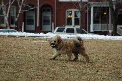 Feb12b_05_052.JPG