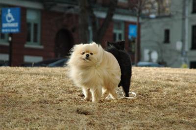 Feb12b_05_053.JPG