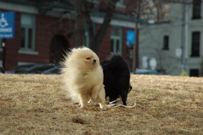 Feb12b_05_054.JPG