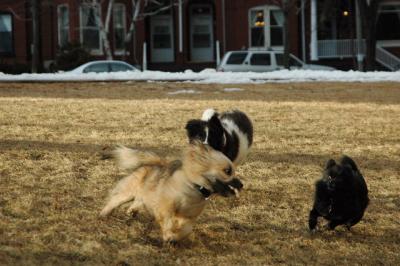 Feb12b_05_059.JPG