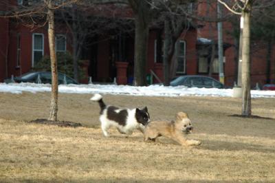 Feb12b_05_061.JPG