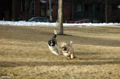 Feb12b_05_062.JPG