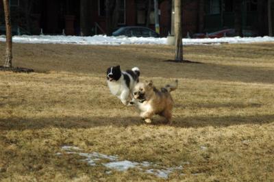 Feb12b_05_063.JPG