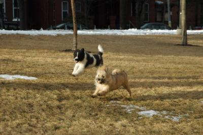 Feb12b_05_064.JPG