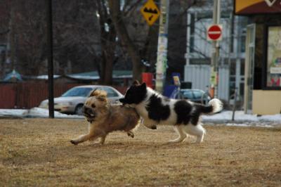 Feb12b_05_066.JPG