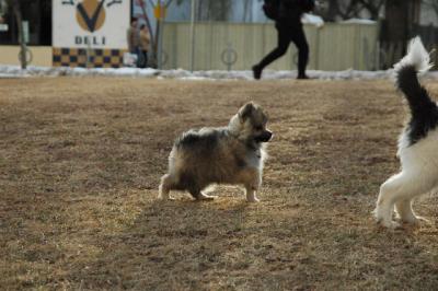 Feb12b_05_067.JPG