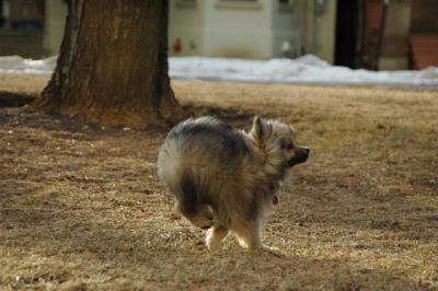 Feb12b_05_068.JPG